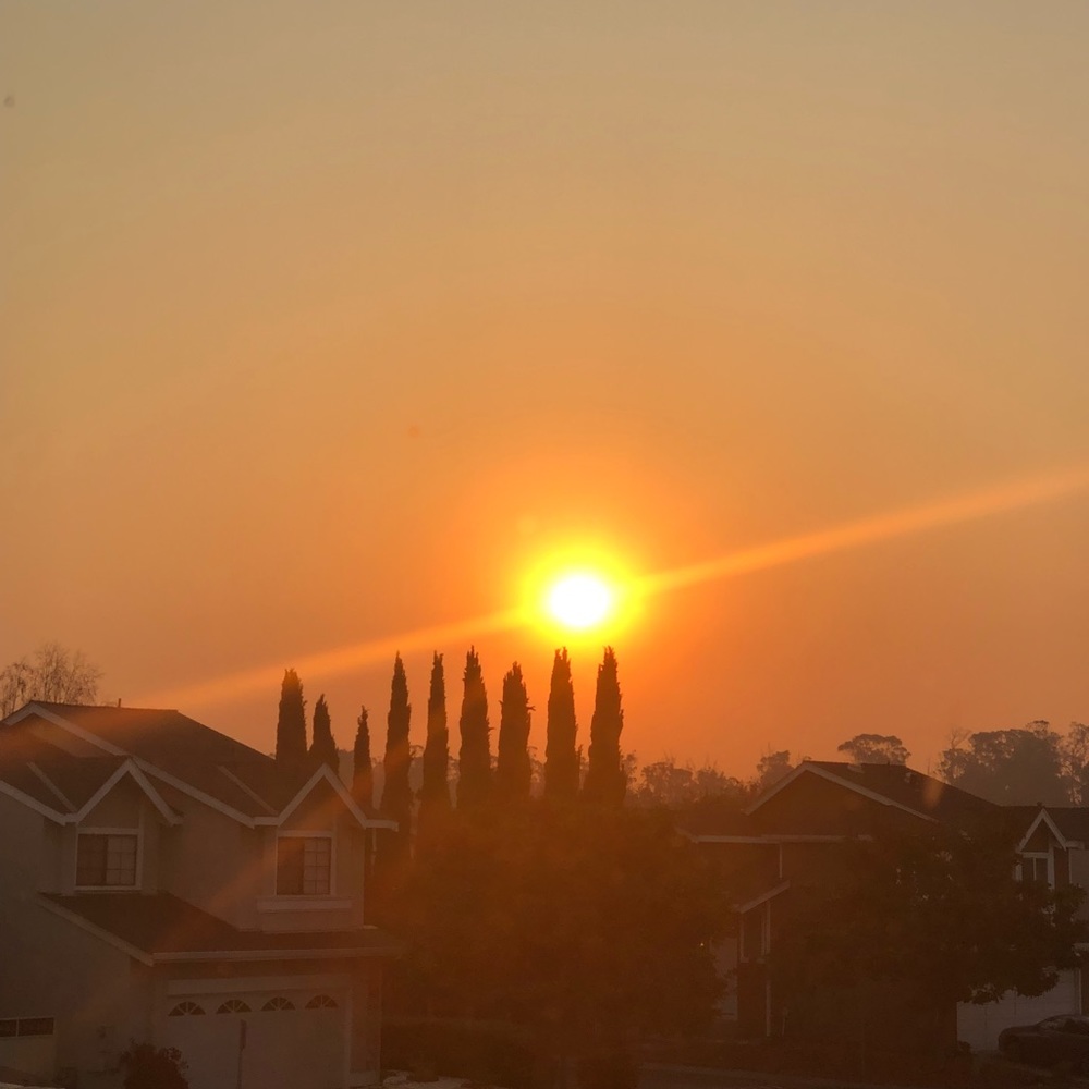 Meet your Posher, Payal